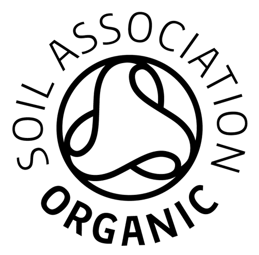 Angelica Root 當歸籽精油